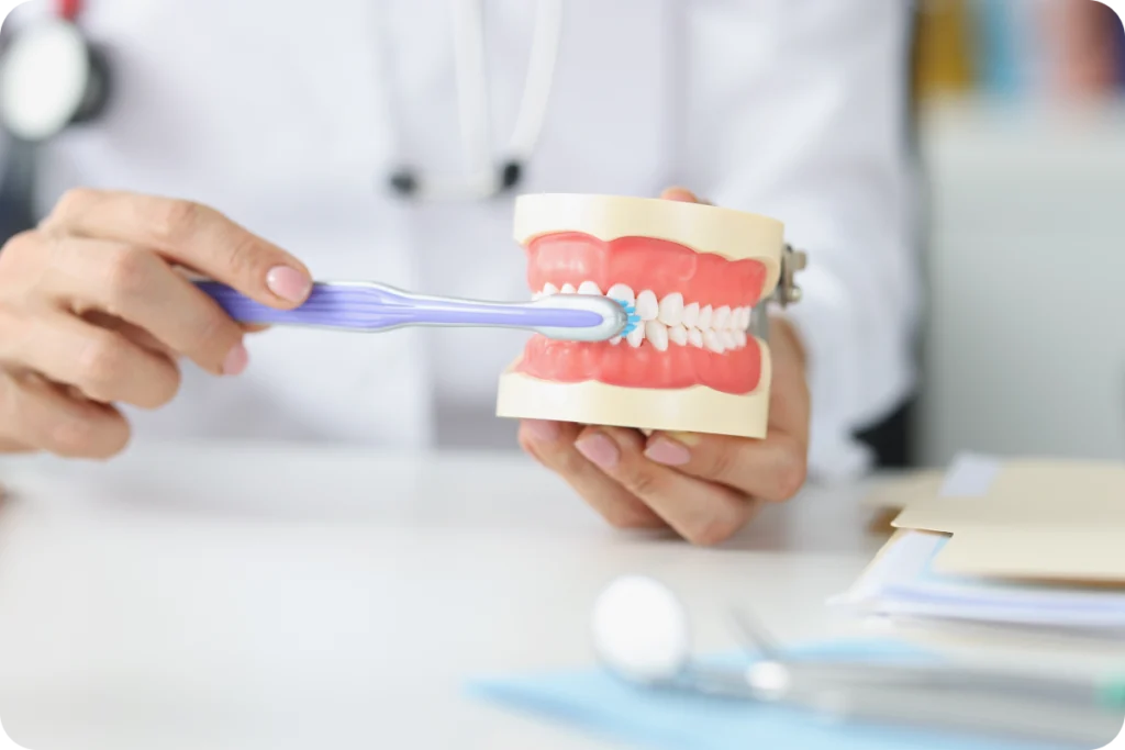 Démonstration des règles de brossage, dentiste à Strasbourg